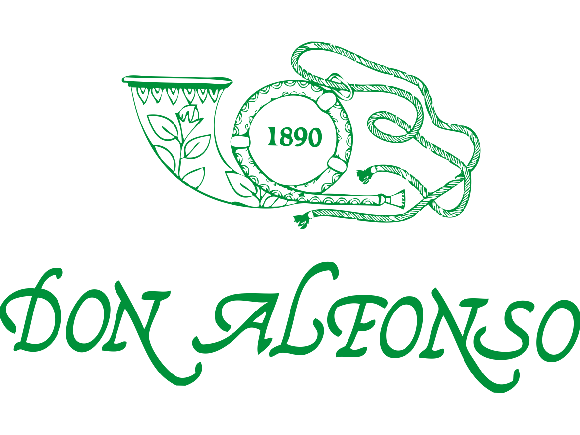 FOLGORE MASSA A.S.D.